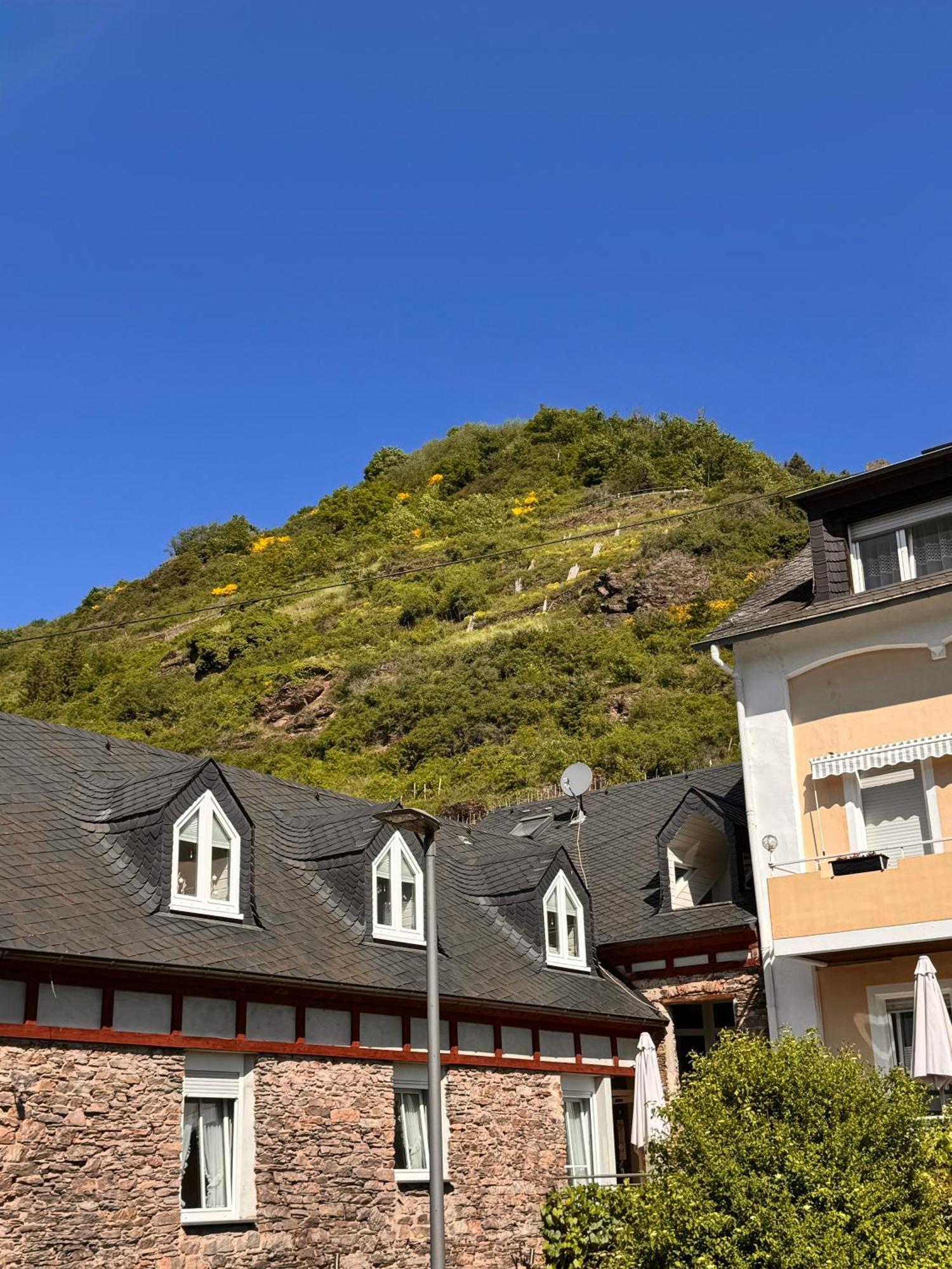 Ferienweingut Rudorfer Otel Valwig Oda fotoğraf