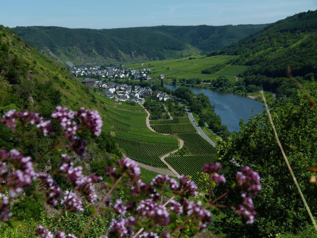 Ferienweingut Rudorfer Otel Valwig Dış mekan fotoğraf